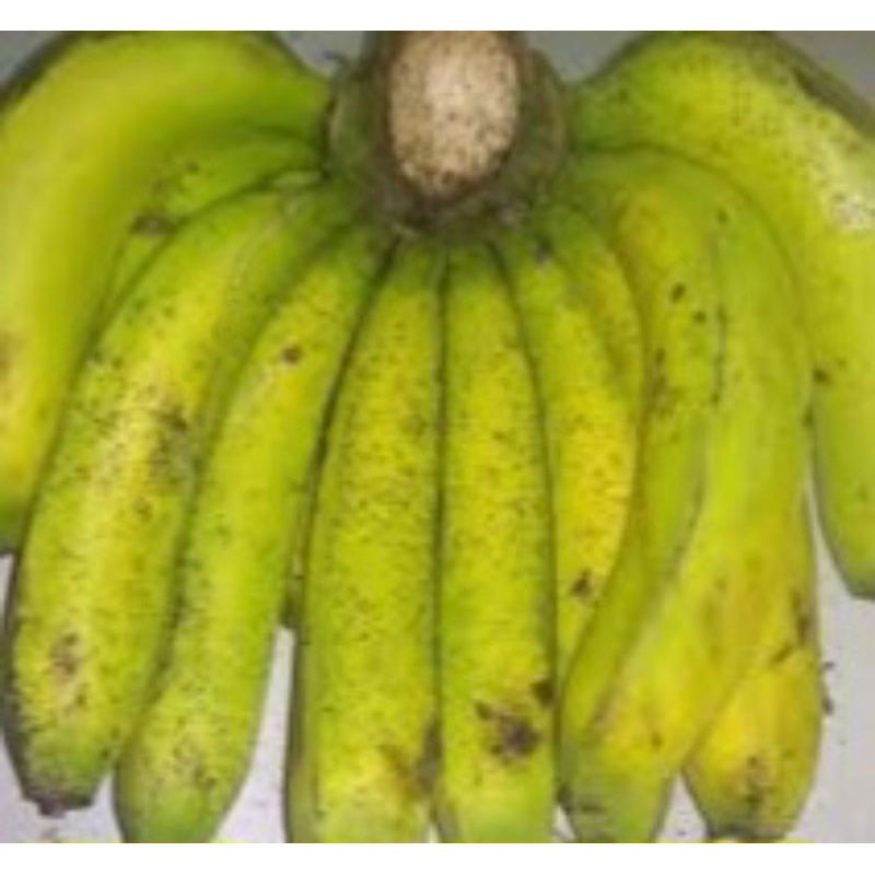 

pisang ambon lumut 1kg