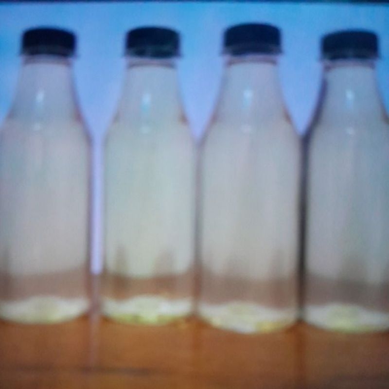 

minyak kelapa asli(kletik)