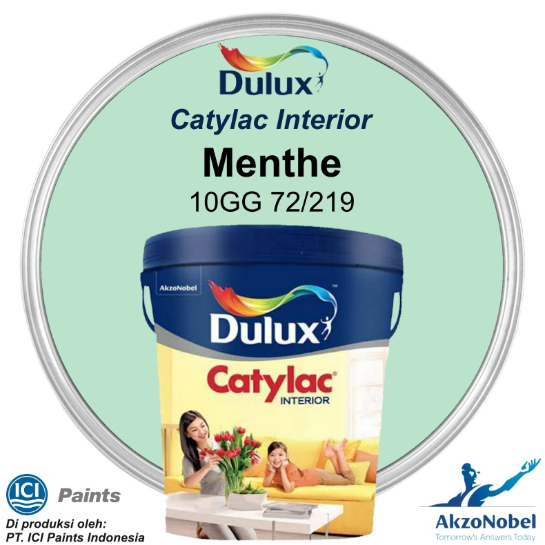 CAT DULUX CATYLAC INTERIOR 25 KG - MENTHE 10GG 72/219