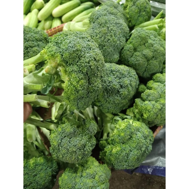 

Brokoli fresh hijau/buah segar78 (500g)