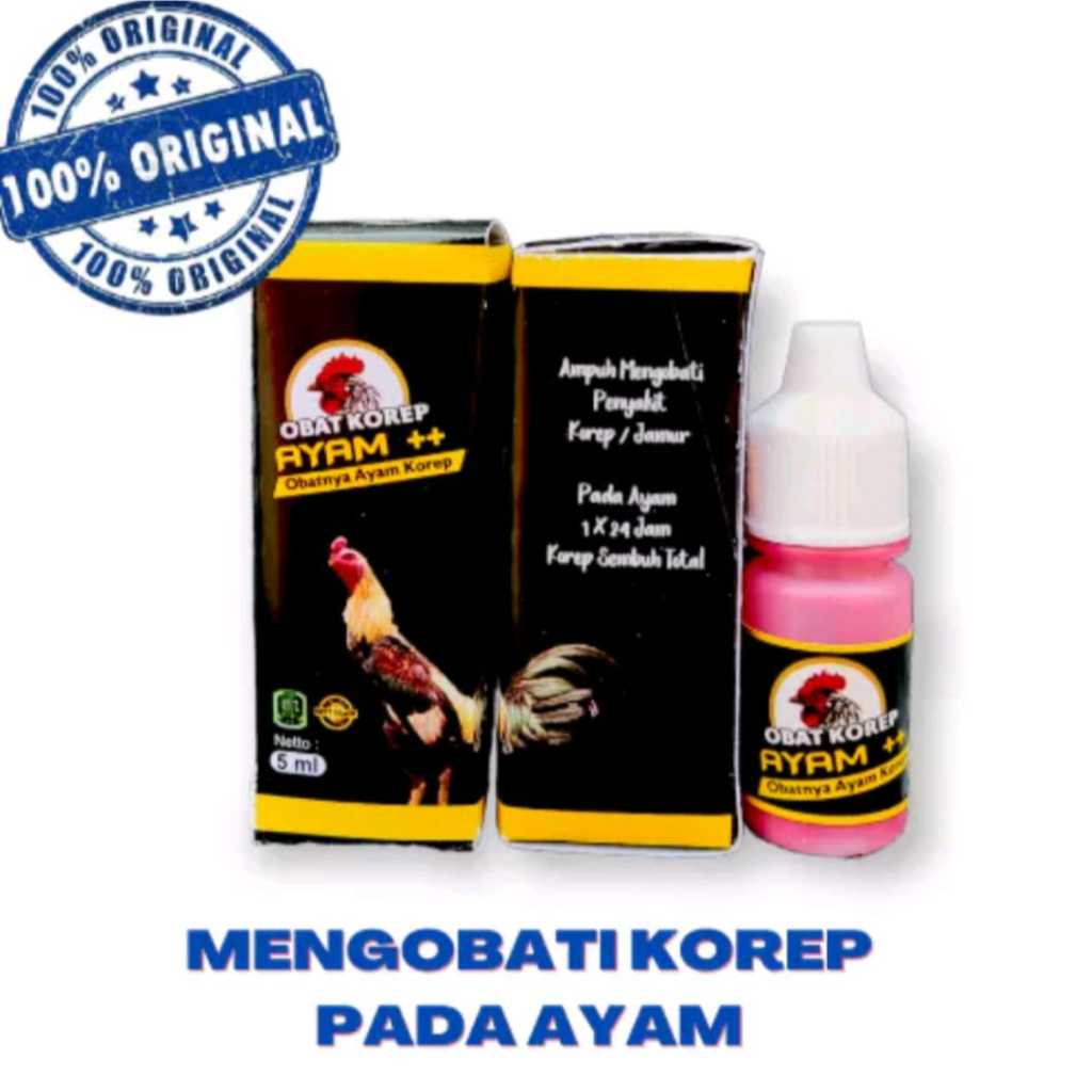 OBAT KOREP AYAM ++ OBAT KURAP AYAM AMPUH MENGOBATI KURAPAN AYAM