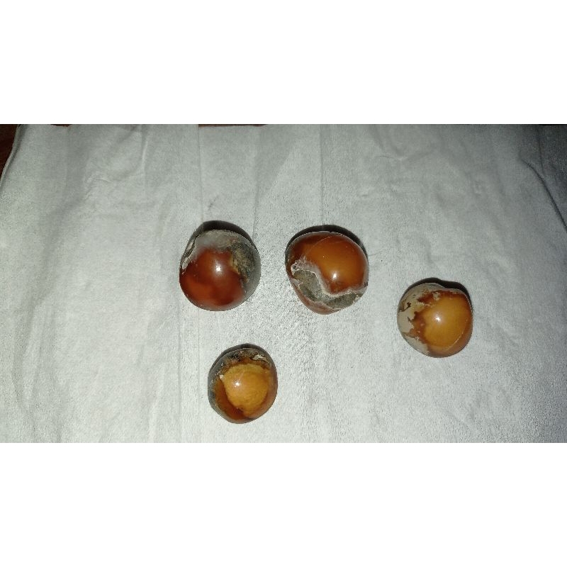 kijing bungkem cirebon