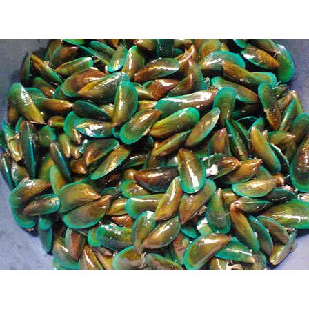 

Tosa SS_Kerang Hijau - 500gr