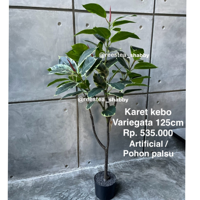 Pohon Hias Karet Kebo Variegata tinggi 125cm/ Pohon Hias Palsu / Artificial plant