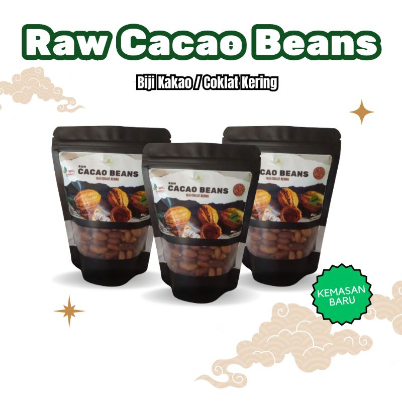Coklat Kering Biji Kakao Cokelat Sudah Melalui Proses Fermentasi Raw Cacao Beans Cocoa Bean