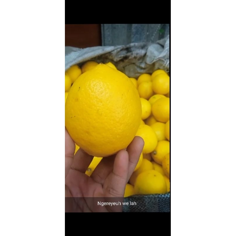 

lemon lokal