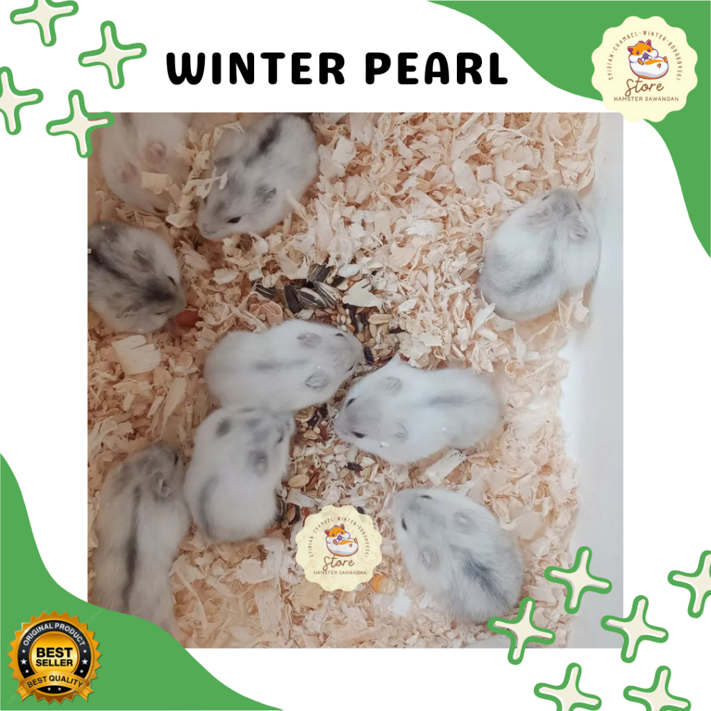 

BOX PACKING & WINTER PEARL