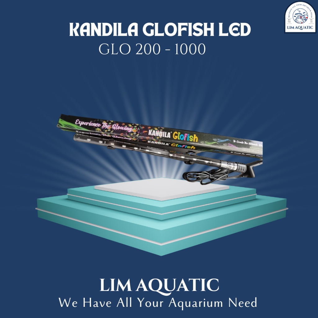 LAMPU KANDILA GLOFISH / T4 KANDILA GLOWFISH / LAMPU IKAN GLOFISH