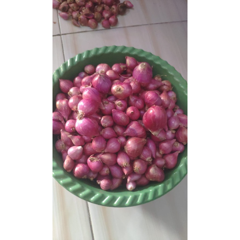 

(TERMURAH) Bawang merah super