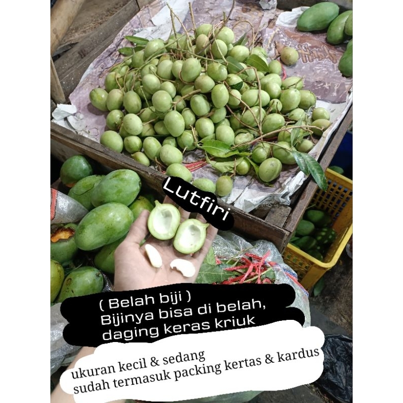 

Mangga telor / keong fresh belah biji 1kg ukuran kecil & sedang, di kirim utuh belum di belah ya ka