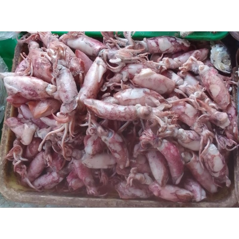 

Cumi Asin 250gram