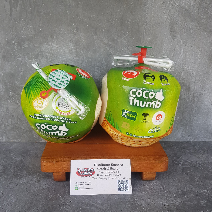 

HarvestMoon Buah Kelapa Coco Thumb Thailand per pcs