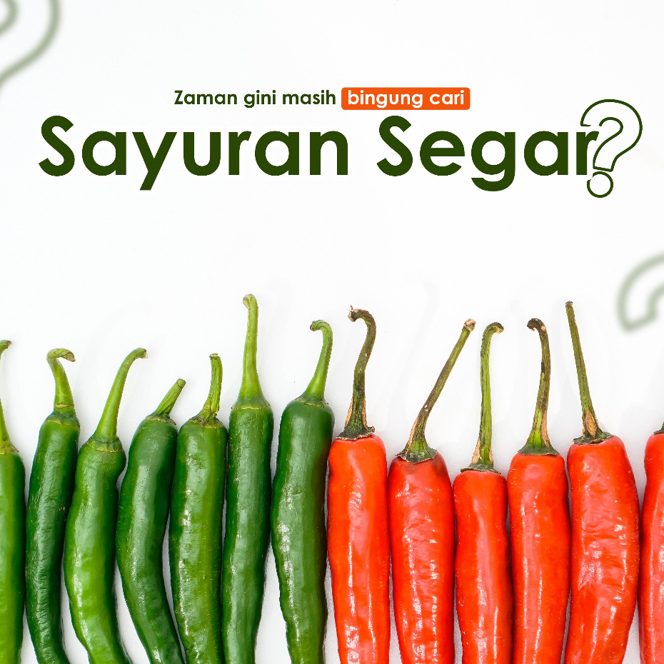 

Rumah Sayur Mang Oyo - Cabai Hijau Segar Kualitas Premium