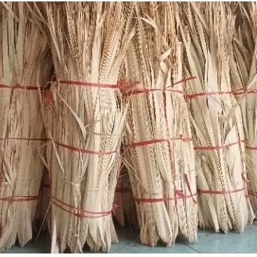 

DAUN SIWALAN PUPUS LONTAR (MUDA) 1 PUCUK FULL UTUH KERING