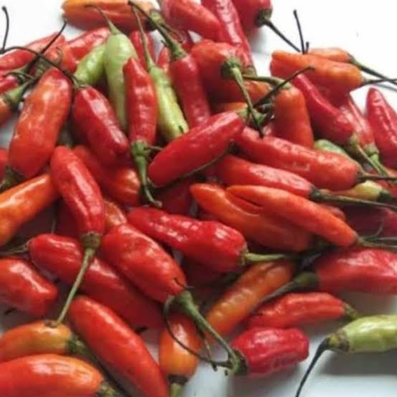 

cabe rawit merah