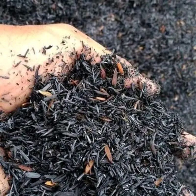 sekam arang /kulit padi arang super