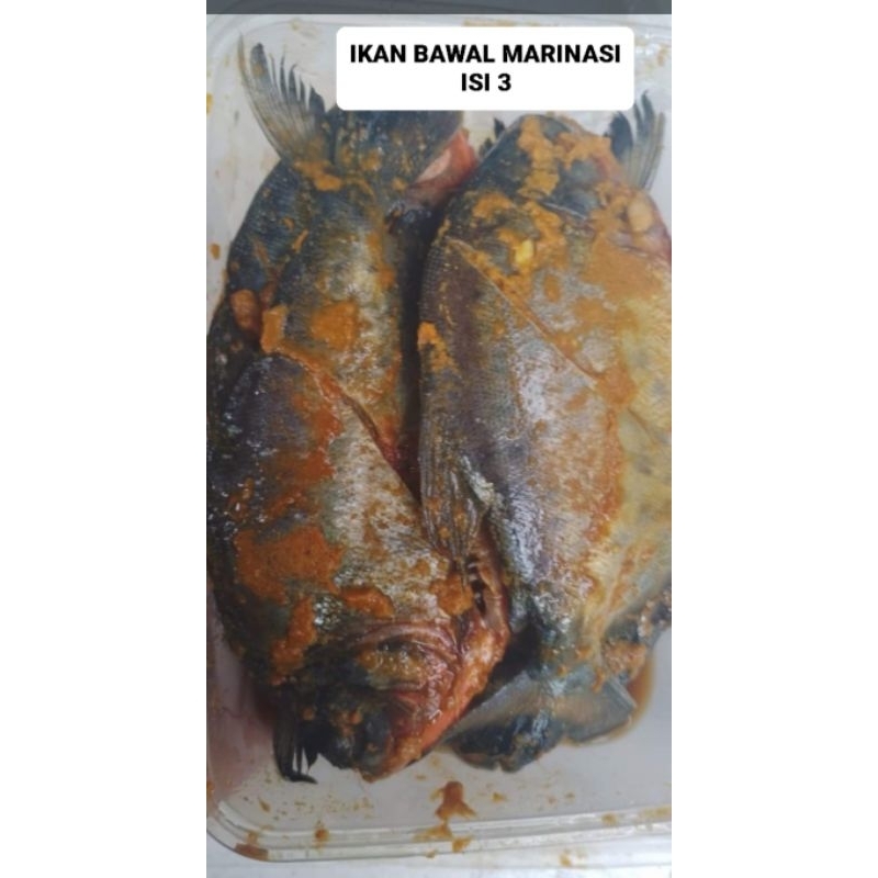 

IKAN BAWAL MARINASI FROZEN ISI 3