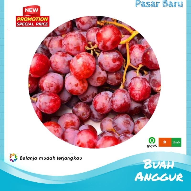 

Buah Anggur • 250gram ✓ Murah | Pasar Baru Makassar