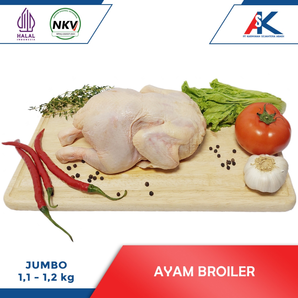 

AYAM BROILER UTUH UKURAN 1,1 - 1,2 KG / AYAM BROILER FRESH / AYAM NEGRI / AYAM KARKAS SEGAR / DAGING AYAM