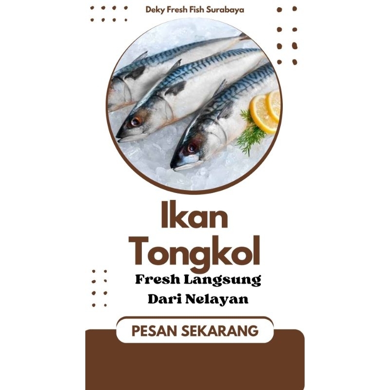 

Ikan tongkol besar / kecil 1 kg