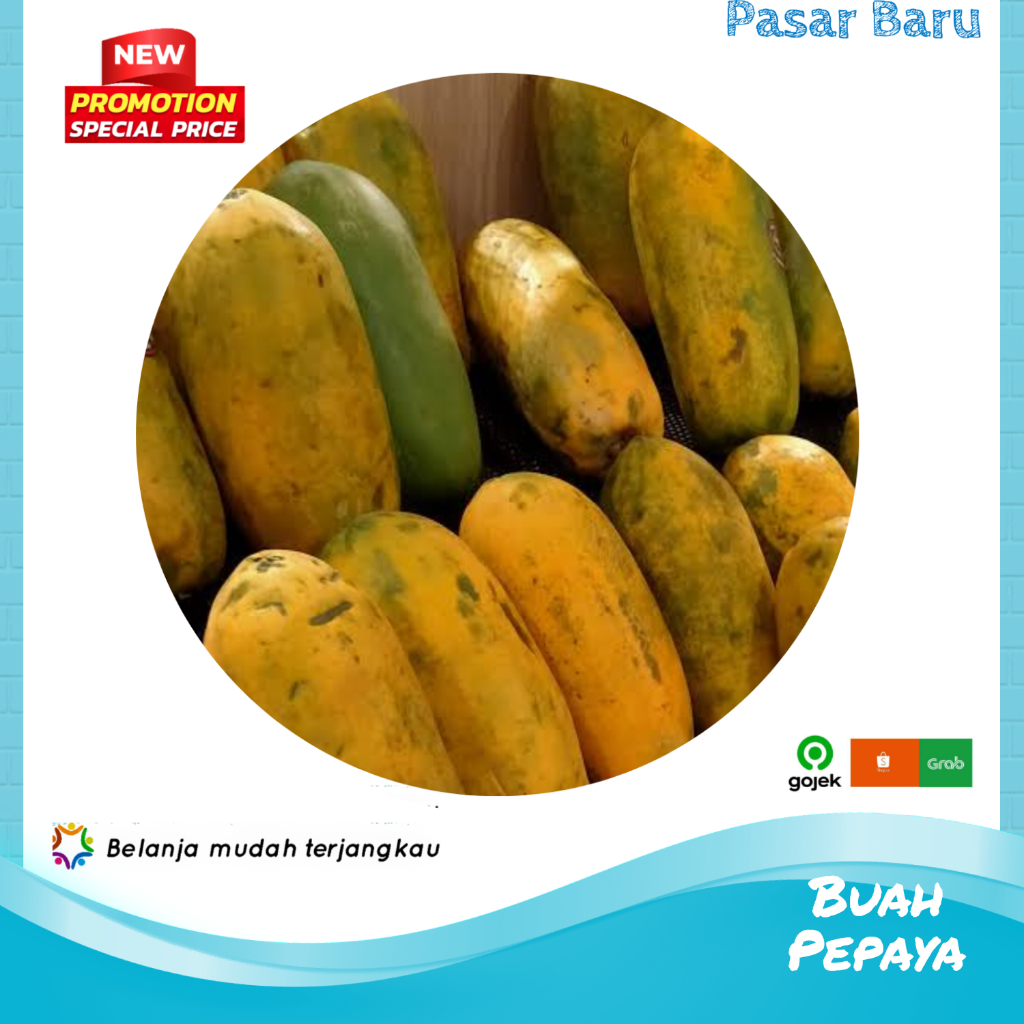 

Buah Pepaya • 1Biji ✓ Murah | Pasar Baru Makassar