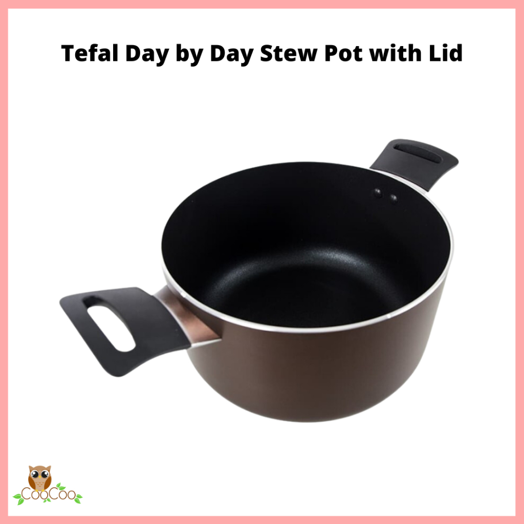 Tefal Day by Day Stew Pot with Lid