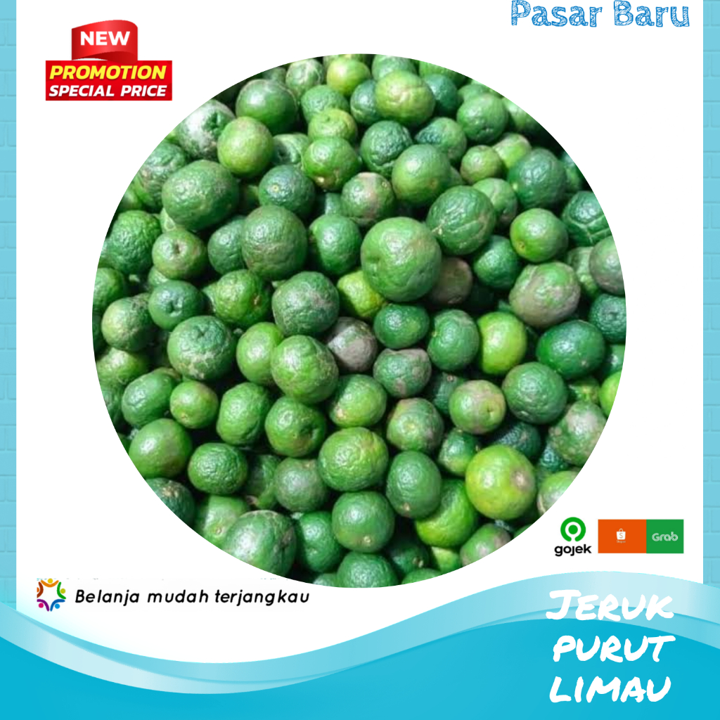 

Jeruk Purut / Limau • Murah | Pasar Baru Makassar