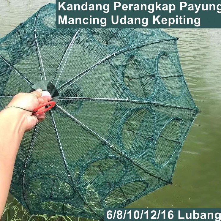 Promo Bubu Skala Kecil Jaring Ikan Payung 616 Lubang Trap Cage Wuwu Menagkap Lele Kepiting Udang Aks