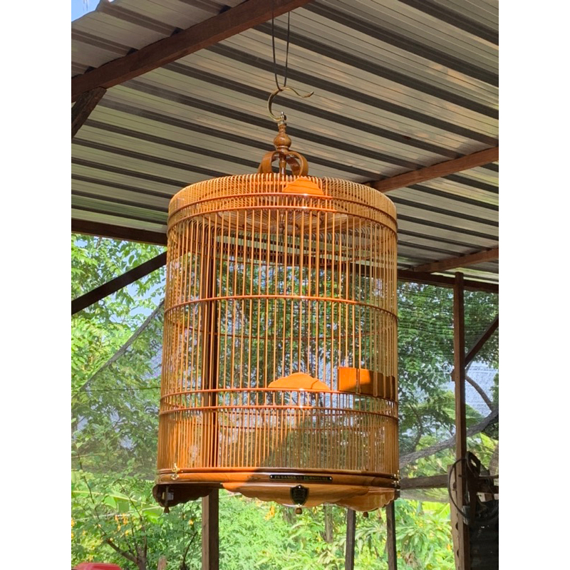 sangkar murai jati tebok ceper