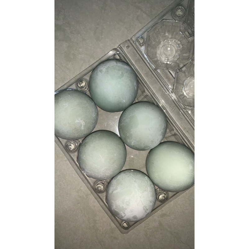 

TELUR ASIN BEBEK ISI 6 pcs KHAS MARTAPURA
