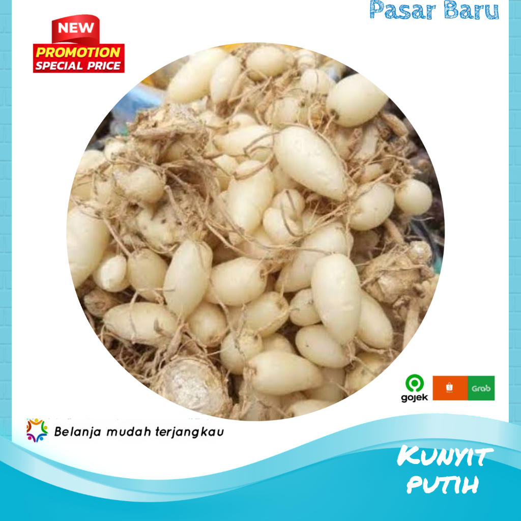 

Kunyit Putih • Murah | Pasar Baru Makassar