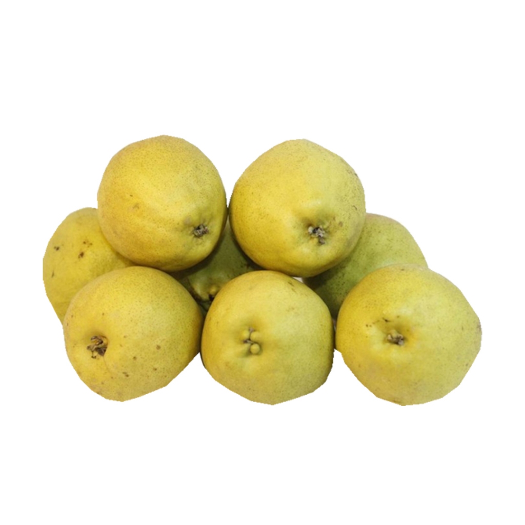 

PEAR SHIANG LIE (PACK) +/- 1 KG (1366)