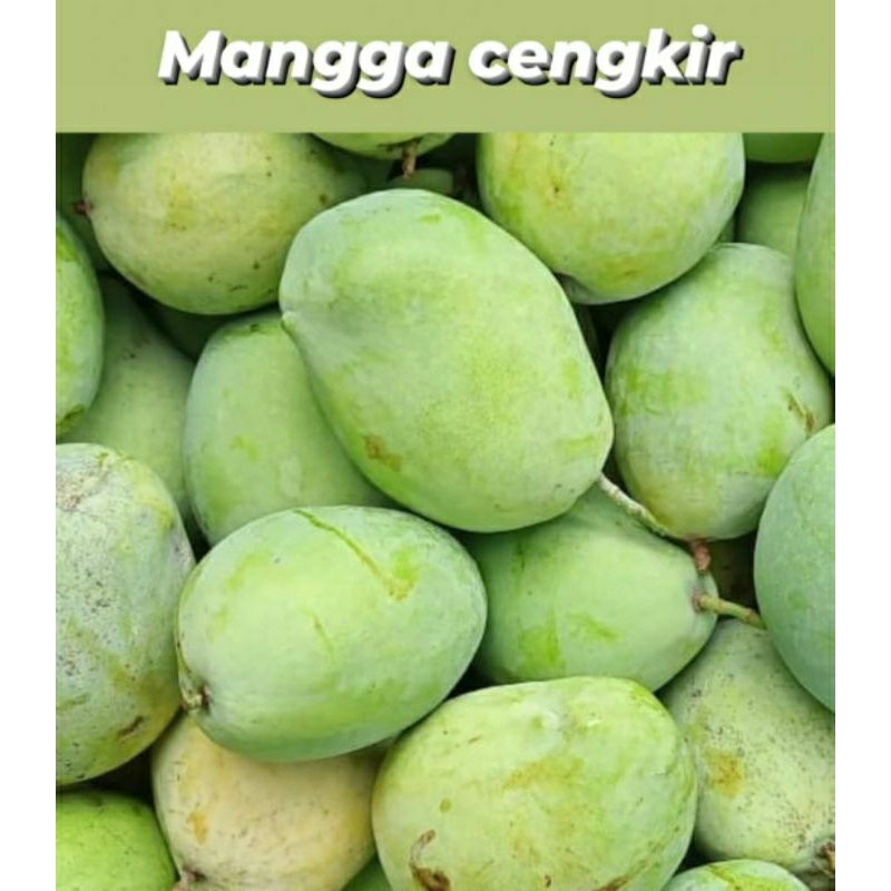 

Mangga Cengkir 1kg