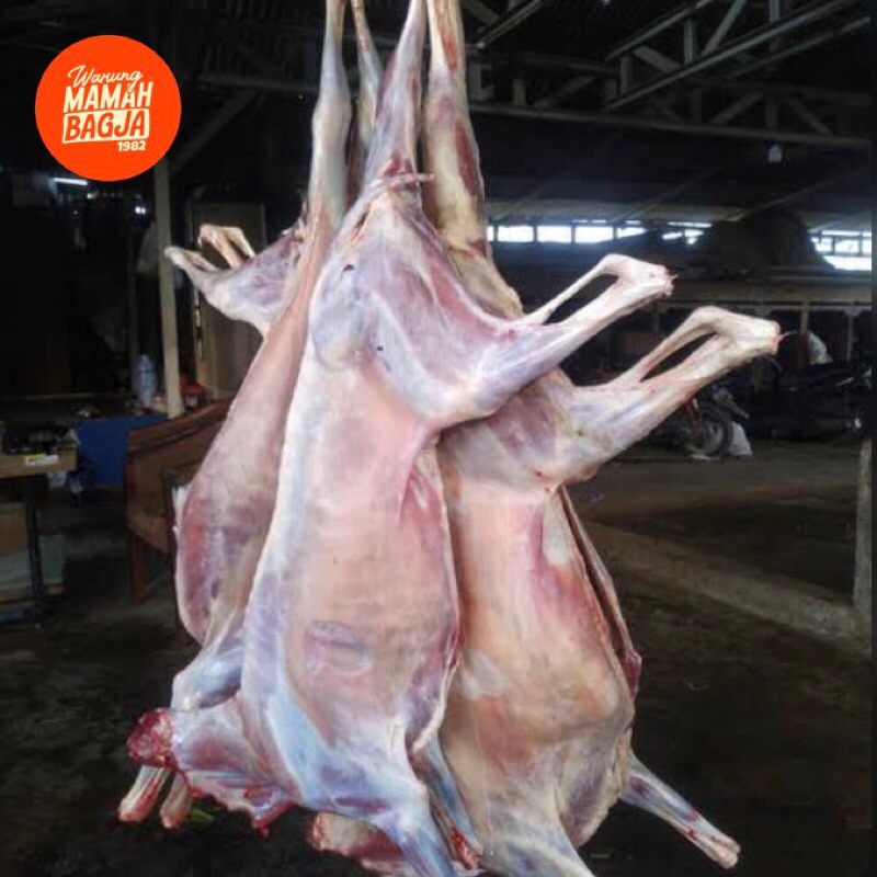 

KARKAS EKORAN PER 1kg fresh