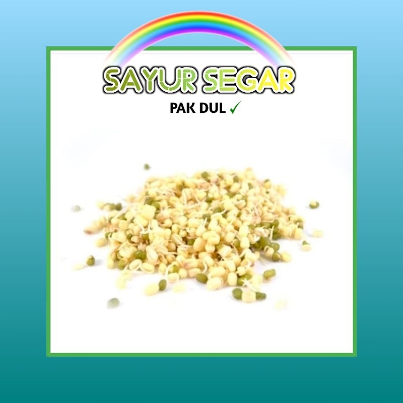 

Kecambah / Tauge / Cambah (pendek) +-100gr