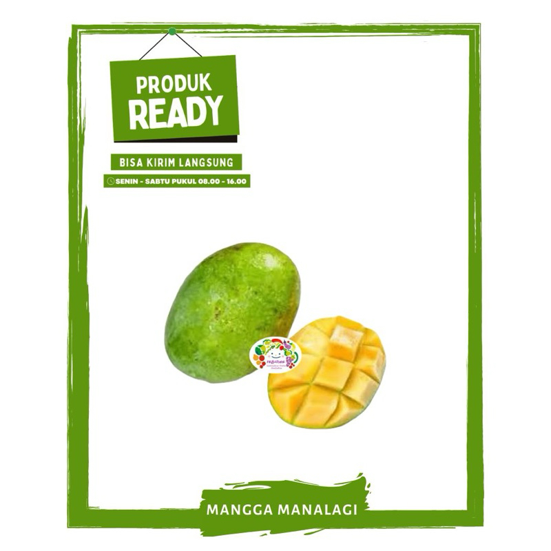 

Mangga Manalagi / Buah Buahan Segar Ready On Mallahrizwa