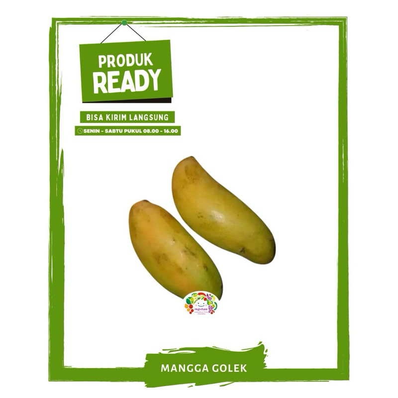 

Mangga Golek / Buah Buahan Segar Ready On Mallahrizwa