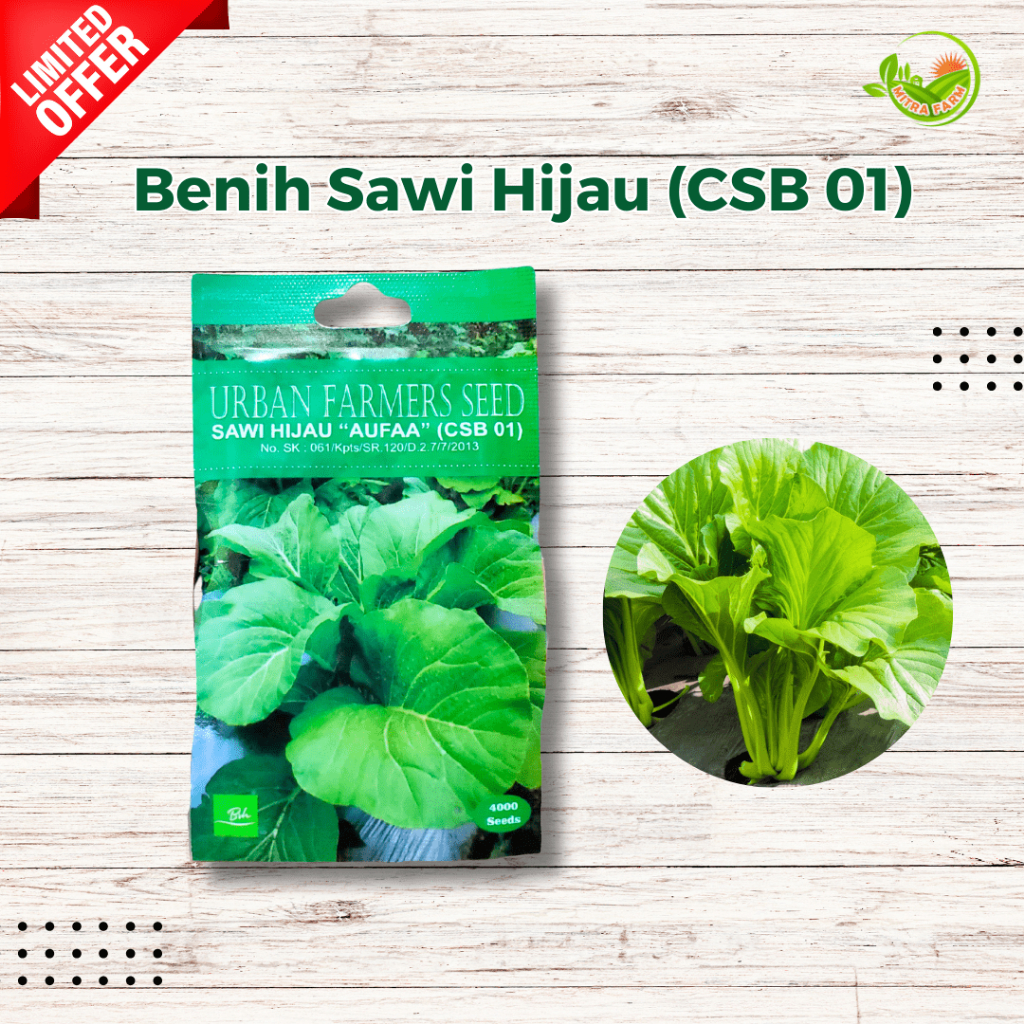 Benih Sawi Hijau Urban Farmer Seeds/Benih Sawi Hijau Aufaa CSB 01/Benih Sawi Murah