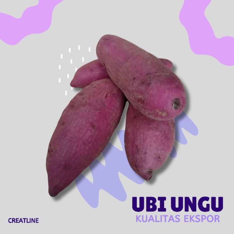 

UBI UNGU Super 500Gr kualitas ekspor khas Banyuwangi