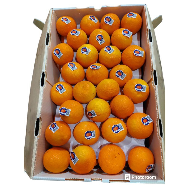 

JERUK MURKOD/ JERUK WOKAM FRESS 1KG RASA MANIS