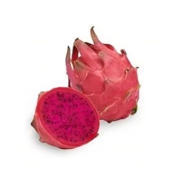 

Buah Naga Merah Kualitas Super