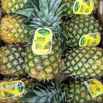 

Nanas Madu Hony Sunpride