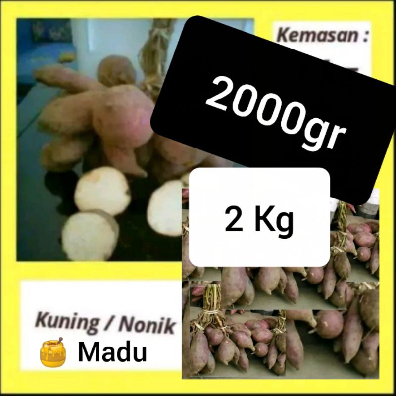 

Ubi Gunung Kawi Super - 2000gr/2kg