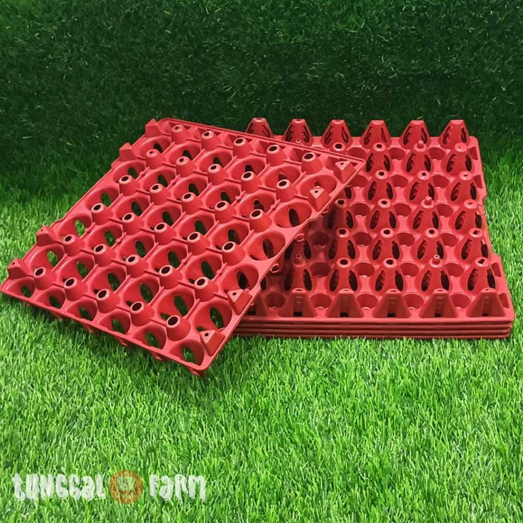 PAKET 50 BIJI /EGGTRAY PLASTIK MERAH / TEMPAT TELUR/WADAH TELUR