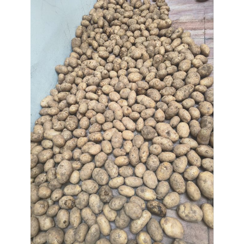

kentangdiengasli1kg