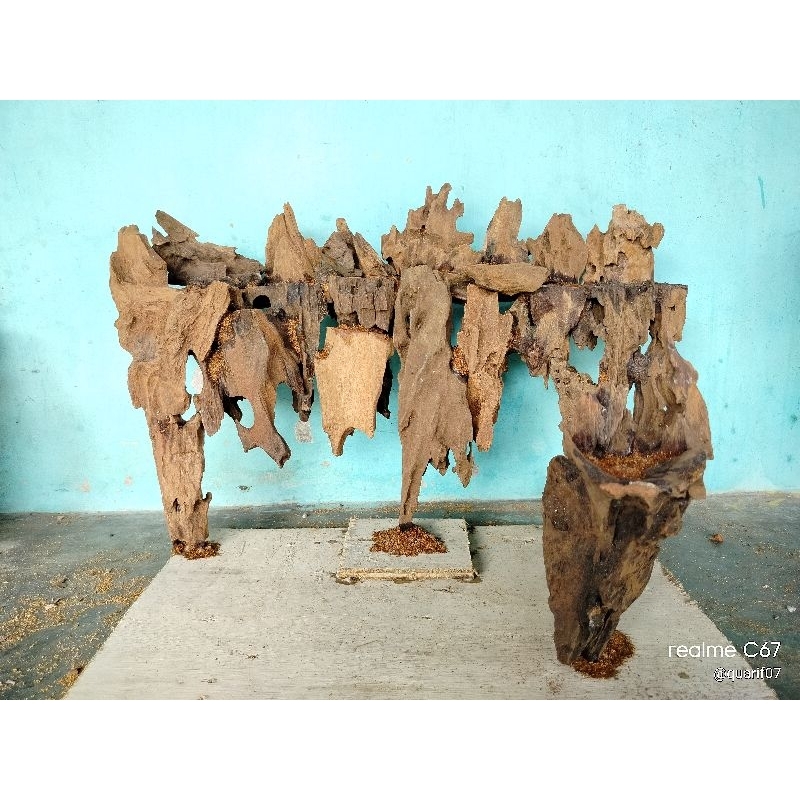 Hardscape Aquascape Avatar