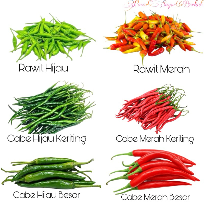 

Cabai Merah/Hijau @250gram