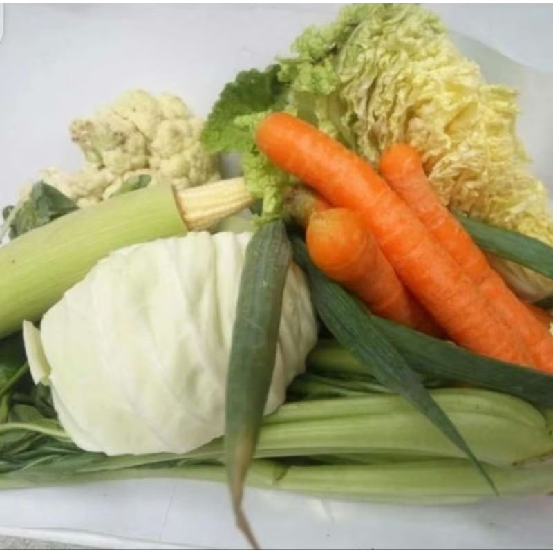 

PAKET SAYUR CAP CAY (2-3 porsi)