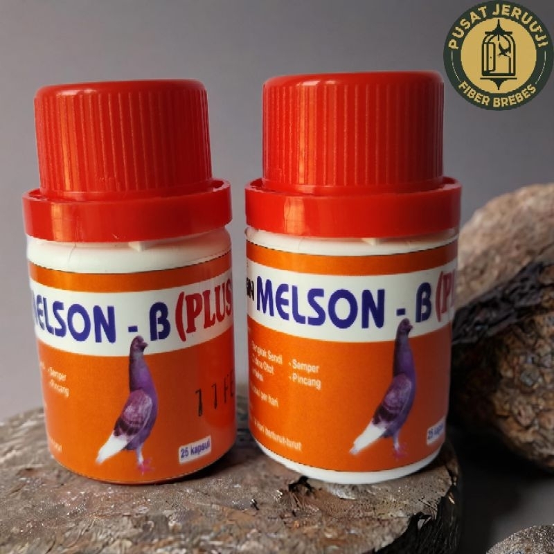 melson B plus - baron