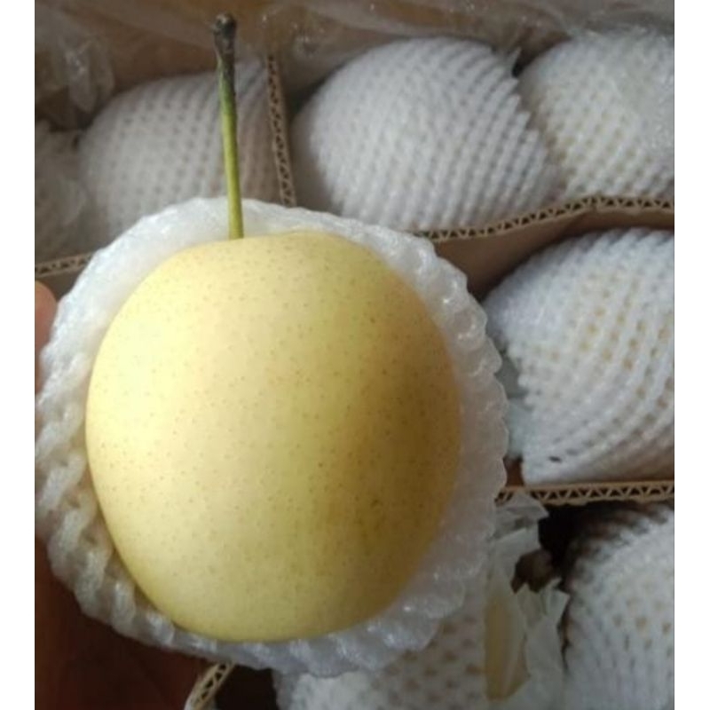 

pear century